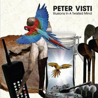 Illusions In A Twisted Mind by Peter Visti