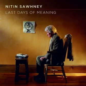 Last Days of Meaning by Nitin Sawhney