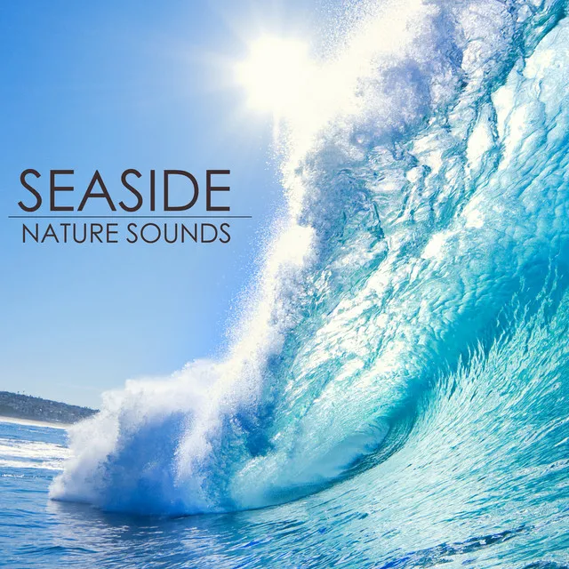 Seaside Nature Sounds - Relaxing Sounds of Nature Sea Music White Noise for Relaxation