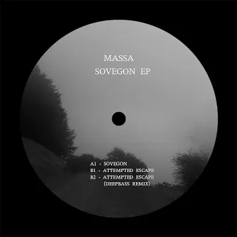 Sovegon by Massa (7)