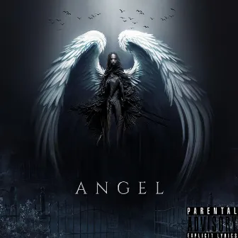 Angel by ZYE