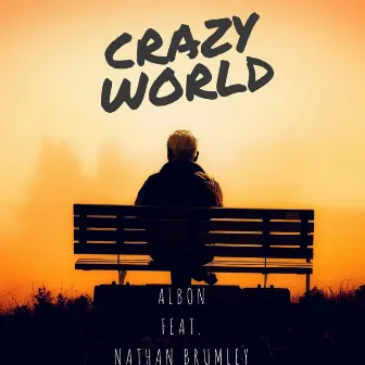 Crazy World by Albon