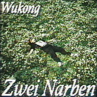 2 Narben by Wukong