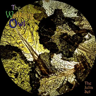 The Julia Set by The Walking Owl