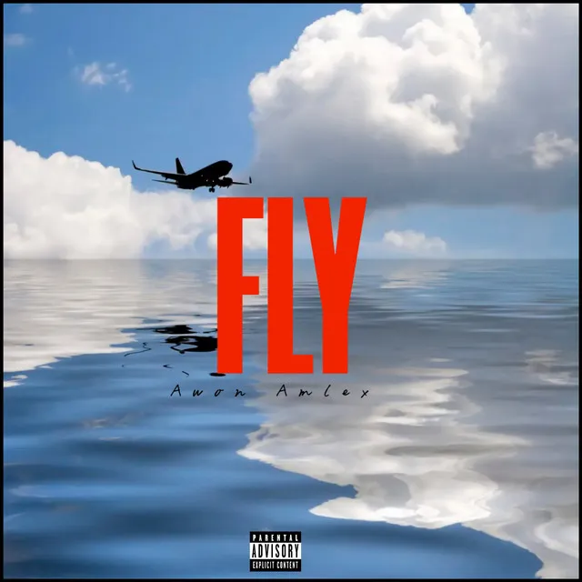 Fly