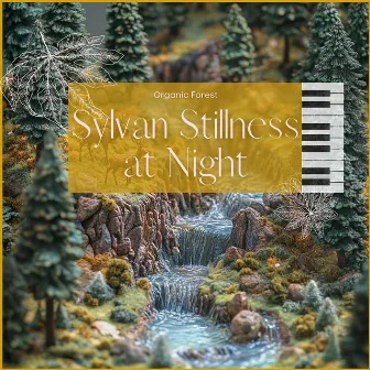 Sylvan Stillness at Night by Organic Forest