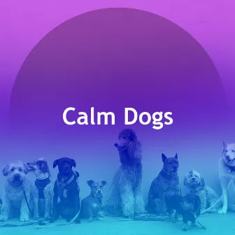 Calm Dogs by Dog Music Jukebox