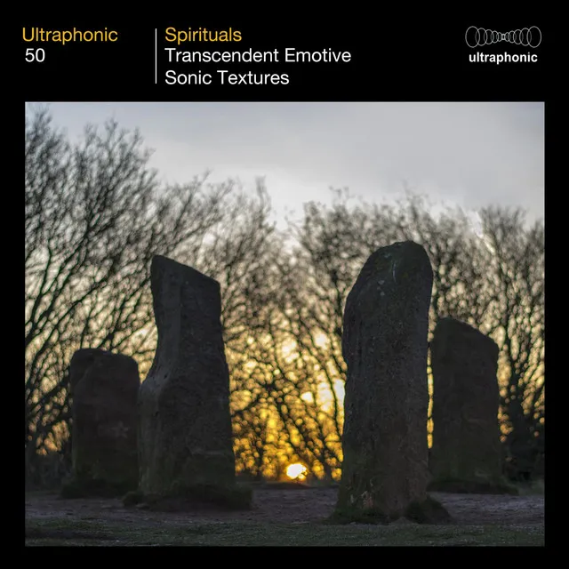 Spirituals (Transcendent Emotive Sonic Textures)