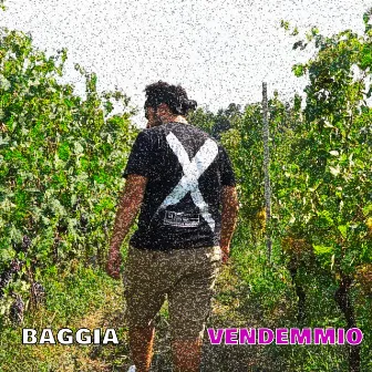 Vendemmio by Baggia