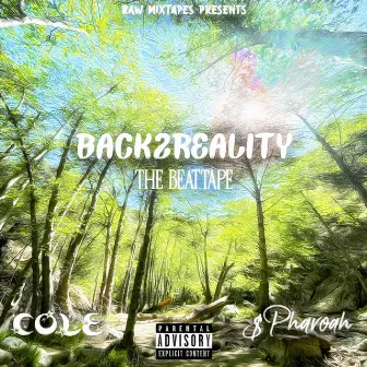 BACK2REALITY by $pharoah