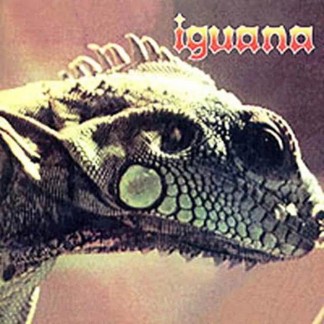 Iguana