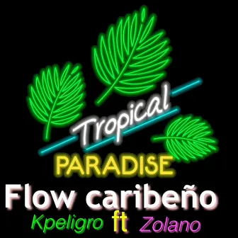 FLOW CARIBEÑO by Kpeligro