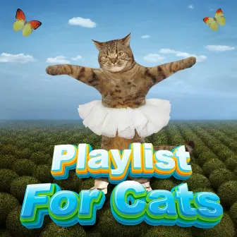 Relaxing Playlist For Cats & Kittens by Calm Music Playlist For Cats