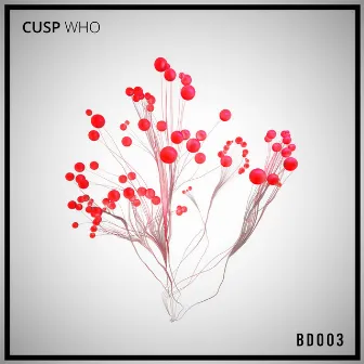 Who by Cusp