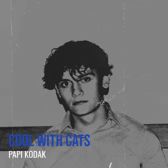 Cool With Cats by Papi Kodak