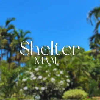 Shelter by Maali