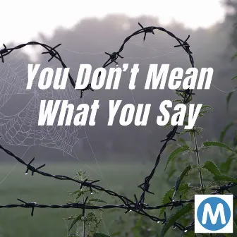 You Don’t Mean What You Say by M