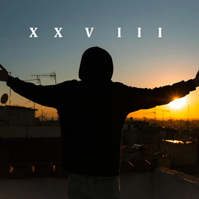 XXVIII