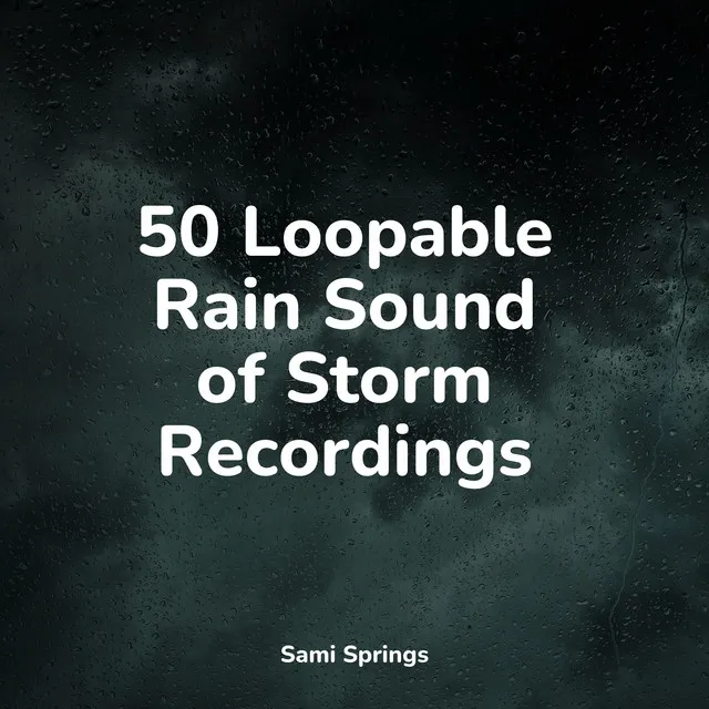 50 Loopable Rain Sound of Storm Recordings