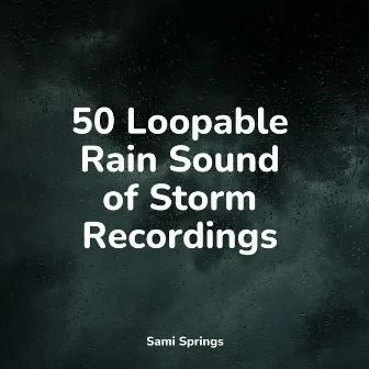 50 Loopable Rain Sound of Storm Recordings by Winds and Oceans