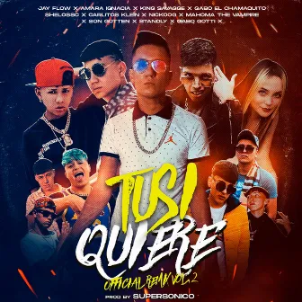 Tusi Quiere Vol 2 by Jay Flow Music