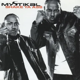 Shake Ya Ass by Mystikal