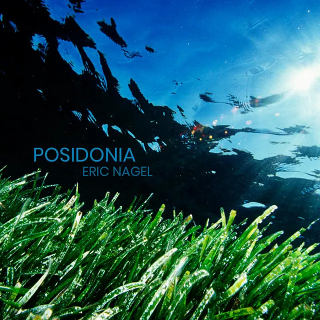 Posidonia