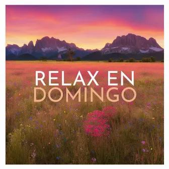 Relax en Domingo: Música Calmante para Recargar Energías y Liberar el Estrés by Domingo Fiesta