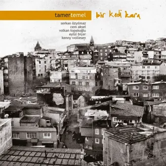 Bir Kedi Kara by Tamer Temel