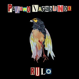 Pájaro Vagabundo by Richi Tunacola