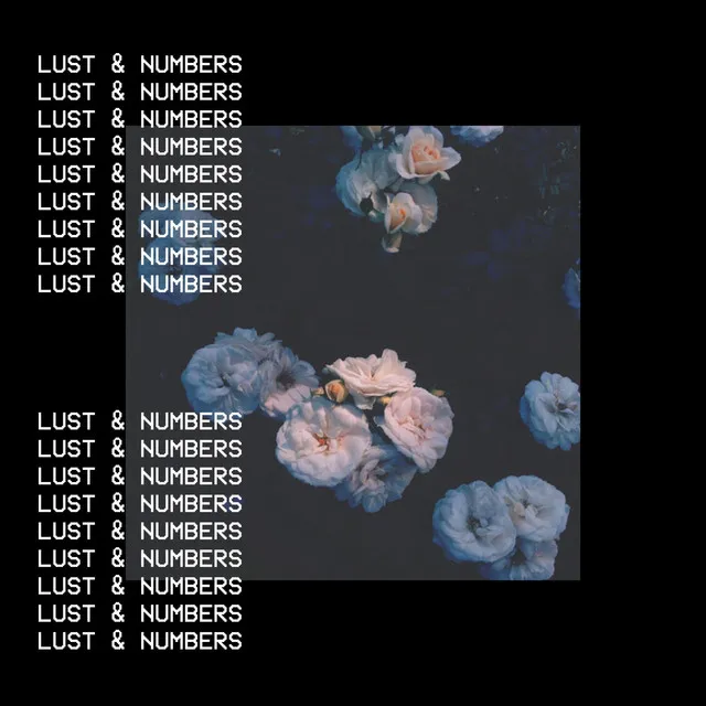 Lust & Numbers