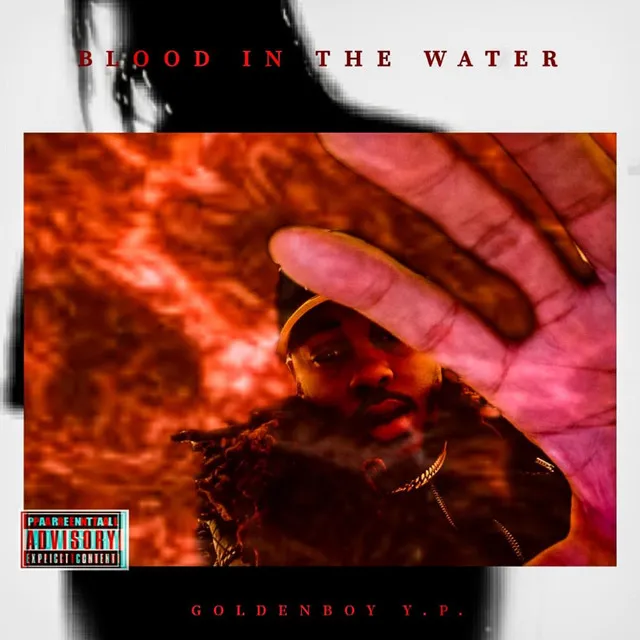 Blood in the Water