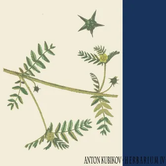 Herbarium Part Four by Anton Kubikov