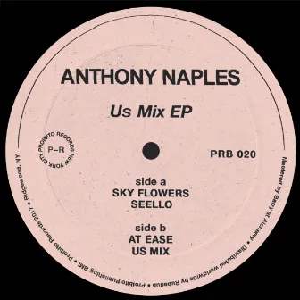 Us Mix by Anthony Naples