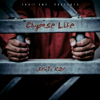 Chgoose Life by Just Ray