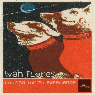 Looking For To Experience by Ivan Flores