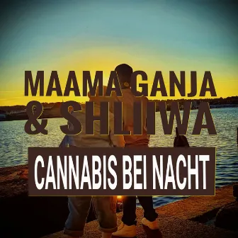 Cannabis bei Nacht by Shliiwa