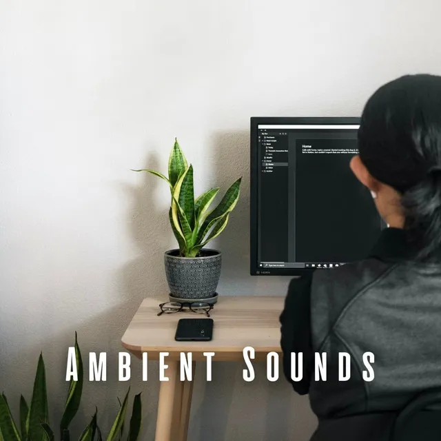 Ambient Sounds: The Ultimate Lofi Work Rhythms