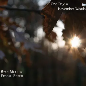 One Day: November Woods by Ryan Molloy