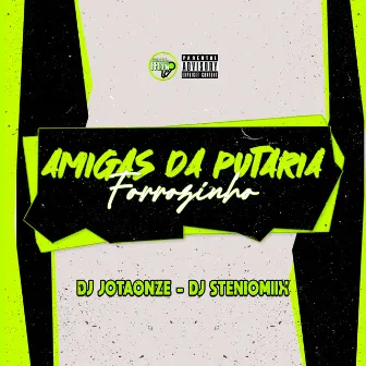 Forrozinho Amigas da Putaria by DJ Steniomiix