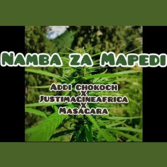 Namba Za Mapedi by Addi Chokoch