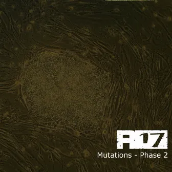 Mutations / Phase 2 by Règlement 17