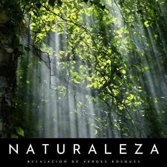 Naturaleza: Relajación De Verdes Bosques by 