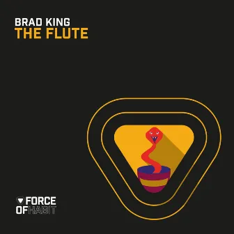 The Flute by Brad King