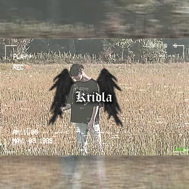 Krídla