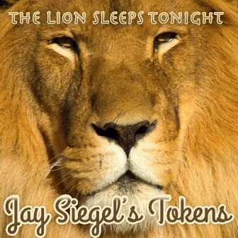 The Lion Sleeps Tonight by Jay Siegel's Tokens