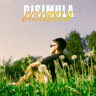 Disimula by Sebades