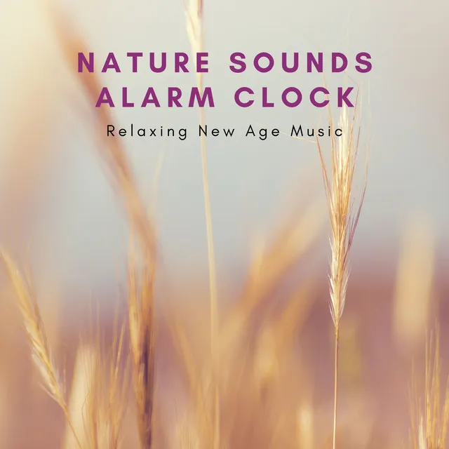 Nature Sounds Alarm Clock - Relaxing New Age Music