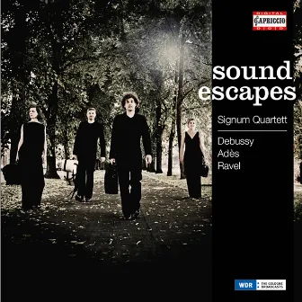 Sound Escapes by Signum Quartet