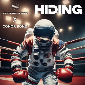 Hiding by Conor Bond